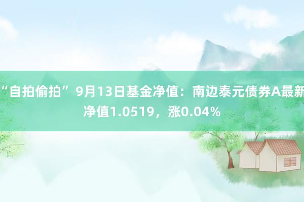 “自拍偷拍” 9月13日基金净值：南边泰元债券A最新净值1.0519，涨0.04%