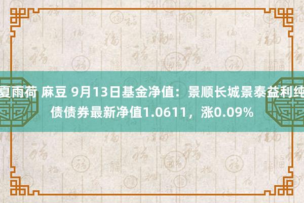 夏雨荷 麻豆 9月13日基金净值：景顺长城景泰益利纯债债券最新净值1.0611，涨0.09%