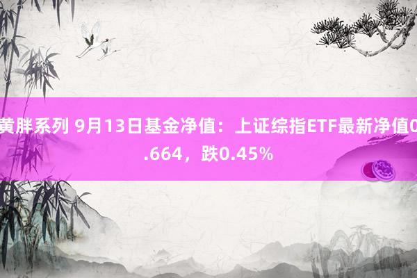 黄胖系列 9月13日基金净值：上证综指ETF最新净值0.664，跌0.45%