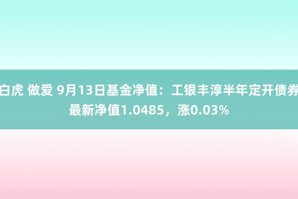 白虎 做爱 9月13日基金净值：工银丰淳半年定开债券最新净值1.0485，涨0.03%