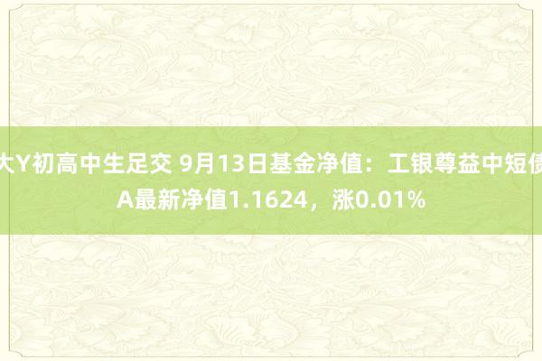 大Y初高中生足交 9月13日基金净值：工银尊益中短债A最新净值1.1624，涨0.01%