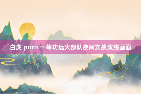 白虎 porn 一等功远火部队夜间实战演练画面