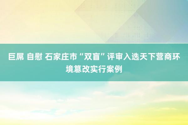 巨屌 自慰 石家庄市“双盲”评审入选天下营商环境篡改实行案例