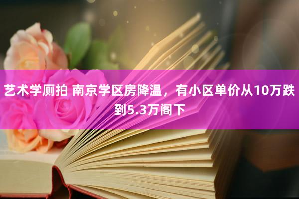 艺术学厕拍 南京学区房降温，有小区单价从10万跌到5.3万阁下