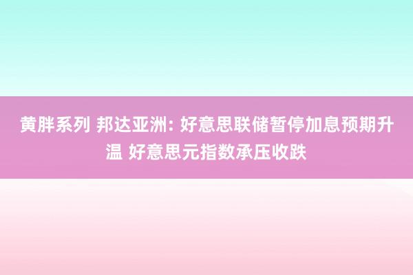 黄胖系列 邦达亚洲: 好意思联储暂停加息预期升温 好意思元指数承压收跌