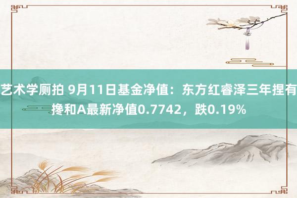 艺术学厕拍 9月11日基金净值：东方红睿泽三年捏有搀和A最新净值0.7742，跌0.19%