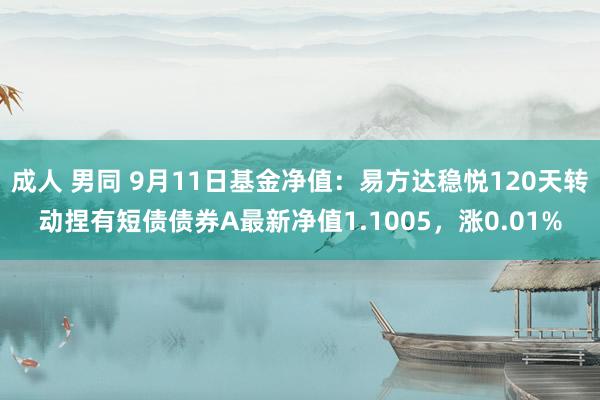 成人 男同 9月11日基金净值：易方达稳悦120天转动捏有短债债券A最新净值1.1005，涨0.01%