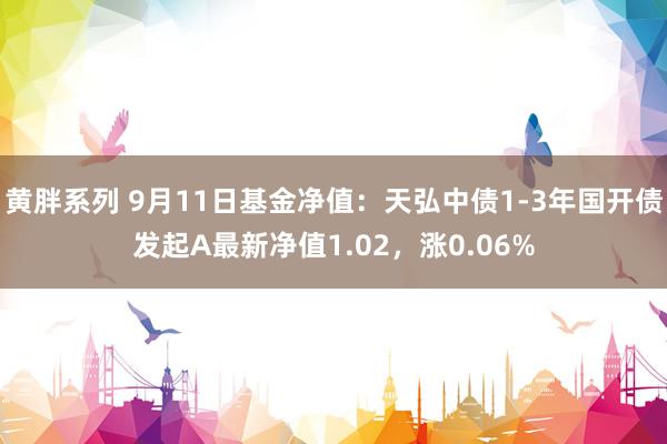 黄胖系列 9月11日基金净值：天弘中债1-3年国开债发起A最新净值1.02，涨0.06%