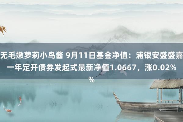 无毛嫩萝莉小鸟酱 9月11日基金净值：浦银安盛盛嘉一年定开债券发起式最新净值1.0667，涨0.02%