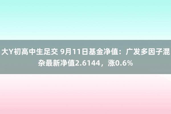 大Y初高中生足交 9月11日基金净值：广发多因子混杂最新净值2.6144，涨0.6%