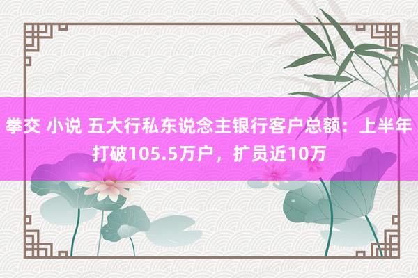 拳交 小说 五大行私东说念主银行客户总额：上半年打破105.5万户，扩员近10万