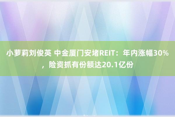 小萝莉刘俊英 中金厦门安堵REIT：年内涨幅30%，险资抓有份额达20.1亿份