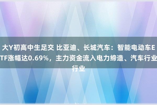 大Y初高中生足交 比亚迪、长城汽车：智能电动车ETF涨幅达0.69%，主力资金流入电力缔造、汽车行业