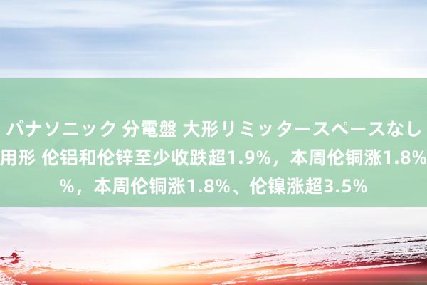 パナソニック 分電盤 大形リミッタースペースなし 露出・半埋込両用形 伦铝和伦锌至少收跌超1.9%，本周伦铜涨1.8%、伦镍涨超3.5%