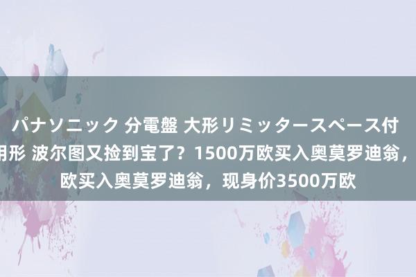 パナソニック 分電盤 大形リミッタースペース付 露出・半埋込両用形 波尔图又捡到宝了？1500万欧买入奥莫罗迪翁，现身价3500万欧