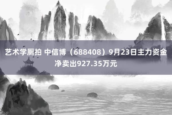 艺术学厕拍 中信博（688408）9月23日主力资金净卖出927.35万元