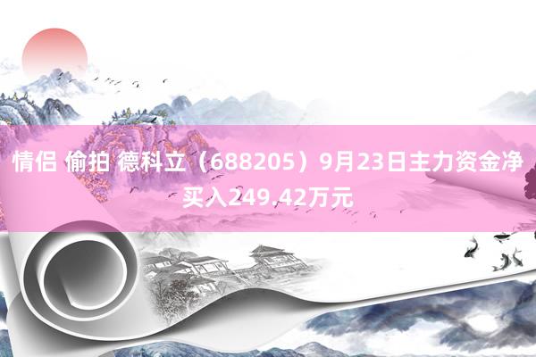 情侣 偷拍 德科立（688205）9月23日主力资金净买入249.42万元