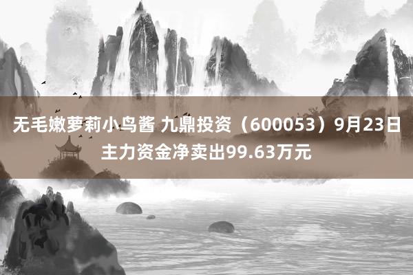 无毛嫩萝莉小鸟酱 九鼎投资（600053）9月23日主力资金净卖出99.63万元