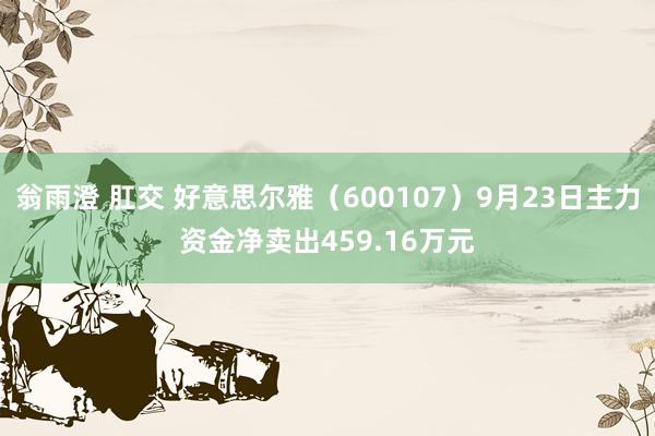 翁雨澄 肛交 好意思尔雅（600107）9月23日主力资金净卖出459.16万元