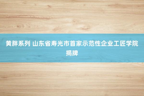 黄胖系列 山东省寿光市首家示范性企业工匠学院揭牌