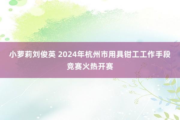 小萝莉刘俊英 2024年杭州市用具钳工工作手段竞赛火热开赛