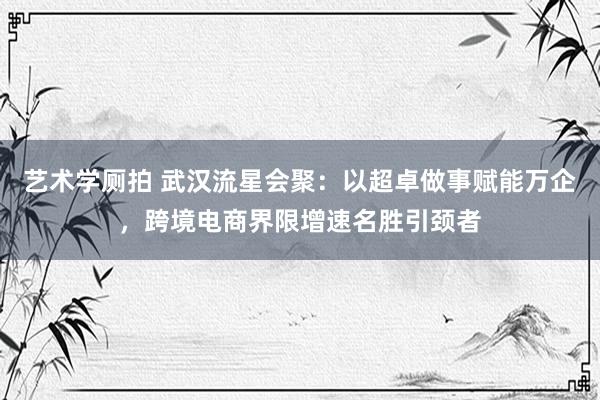 艺术学厕拍 武汉流星会聚：以超卓做事赋能万企，跨境电商界限增速名胜引颈者