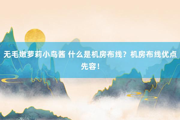 无毛嫩萝莉小鸟酱 什么是机房布线？机房布线优点先容！