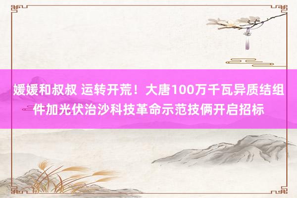 媛媛和叔叔 运转开荒！大唐100万千瓦异质结组件加光伏治沙科技革命示范技俩开启招标