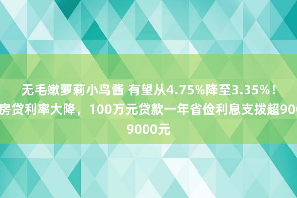 无毛嫩萝莉小鸟酱 有望从4.75%降至3.35%！存量房贷利率大降，100万元贷款一年省俭利息支拨超9000元