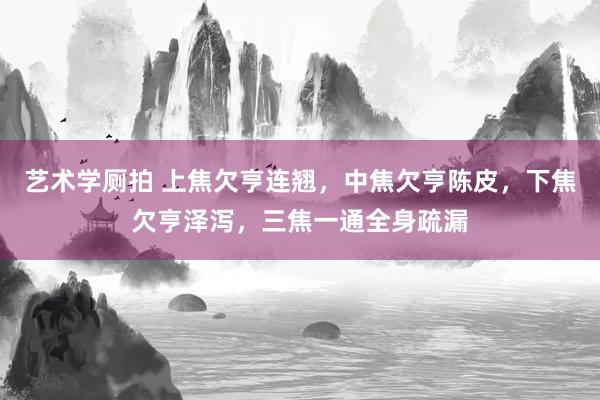 艺术学厕拍 上焦欠亨连翘，中焦欠亨陈皮，下焦欠亨泽泻，三焦一通全身疏漏