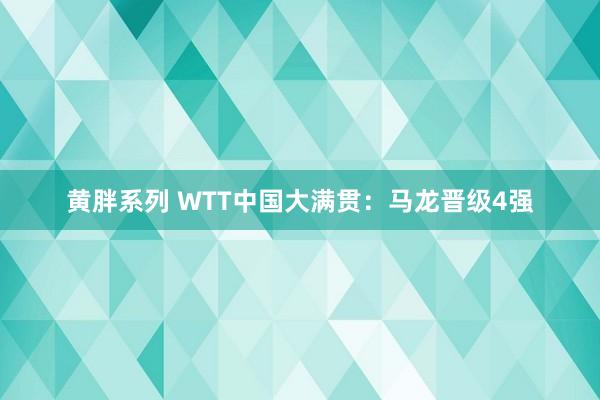 黄胖系列 WTT中国大满贯：马龙晋级4强