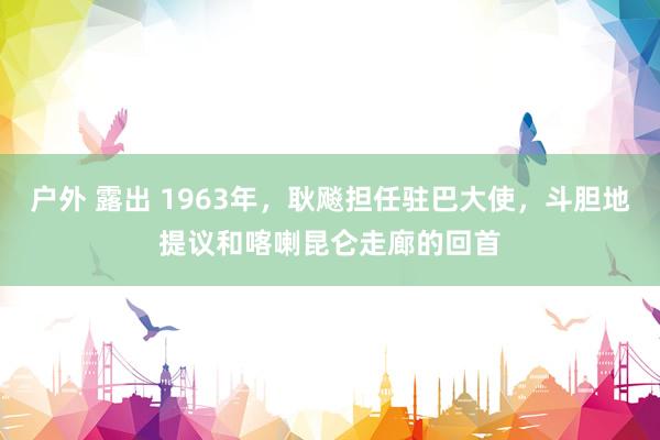 户外 露出 1963年，耿飚担任驻巴大使，斗胆地提议和喀喇昆仑走廊的回首