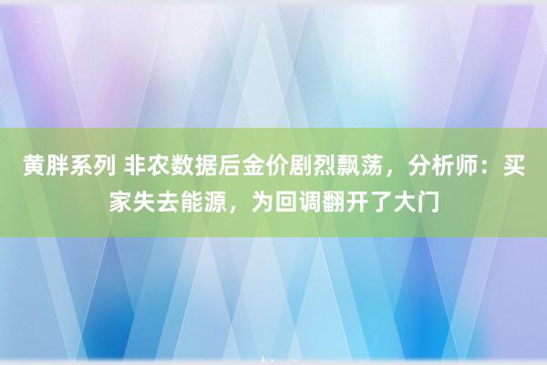 黄胖系列 非农数据后金价剧烈飘荡，分析师：买家失去能源，为回调翻开了大门