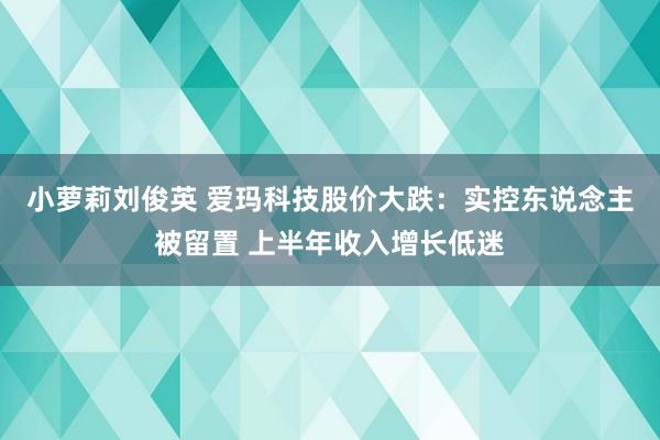 小萝莉刘俊英 爱玛科技股价大跌：实控东说念主被留置 上半年收入增长低迷