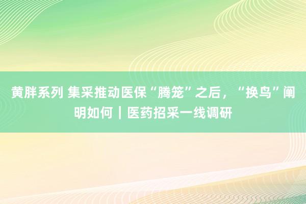 黄胖系列 集采推动医保“腾笼”之后，“换鸟”阐明如何｜医药招采一线调研