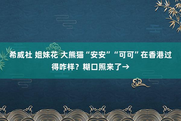 希威社 姐妹花 大熊猫“安安”“可可”在香港过得咋样？糊口照来了→