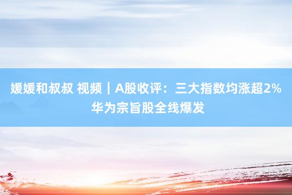 媛媛和叔叔 视频｜A股收评：三大指数均涨超2% 华为宗旨股全线爆发