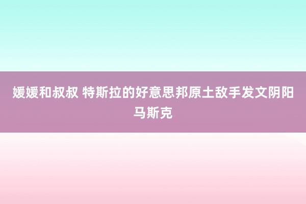 媛媛和叔叔 特斯拉的好意思邦原土敌手发文阴阳马斯克