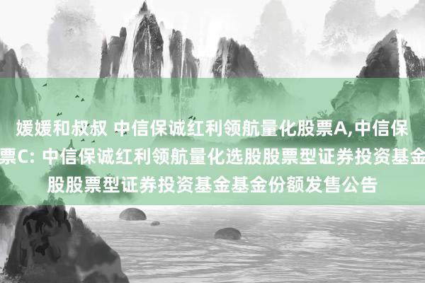 媛媛和叔叔 中信保诚红利领航量化股票A，中信保诚红利领航量化股票C: 中信保诚红利领航量化选股股票型证券投资基金基金份额发售公告