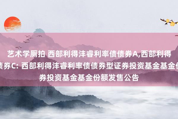 艺术学厕拍 西部利得沣睿利率债债券A，西部利得沣睿利率债债券C: 西部利得沣睿利率债债券型证券投资基金基金份额发售公告