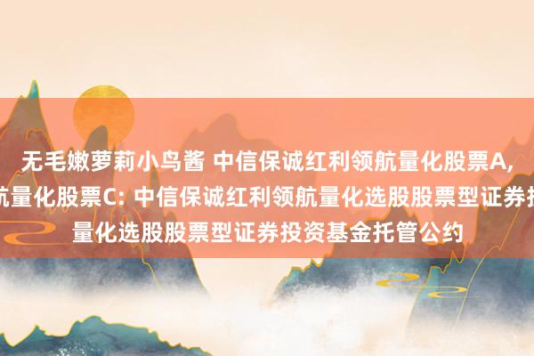 无毛嫩萝莉小鸟酱 中信保诚红利领航量化股票A，中信保诚红利领航量化股票C: 中信保诚红利领航量化选股股票型证券投资基金托管公约