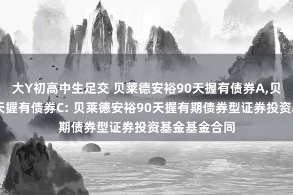 大Y初高中生足交 贝莱德安裕90天握有债券A，贝莱德安裕90天握有债券C: 贝莱德安裕90天握有期债券型证券投资基金基金合同