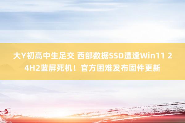 大Y初高中生足交 西部数据SSD遭逢Win11 24H2蓝屏死机！官方困难发布固件更新