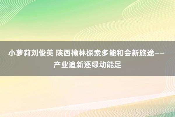 小萝莉刘俊英 陕西榆林探索多能和会新旅途—— 产业追新逐绿动能足