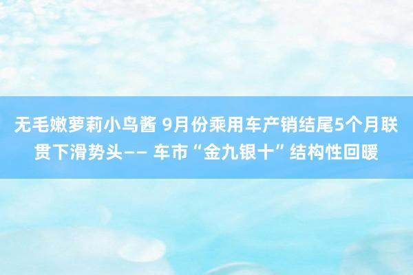 无毛嫩萝莉小鸟酱 9月份乘用车产销结尾5个月联贯下滑势头—— 车市“金九银十”结构性回暖