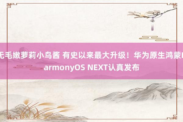 无毛嫩萝莉小鸟酱 有史以来最大升级！华为原生鸿蒙HarmonyOS NEXT认真发布