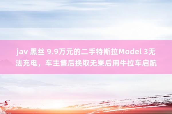 jav 黑丝 9.9万元的二手特斯拉Model 3无法充电，车主售后换取无果后用牛拉车启航