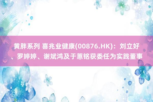 黄胖系列 喜兆业健康(00876.HK)：刘立好、罗婷婷、谢斌鸿及于蕙铭获委任为实践董事