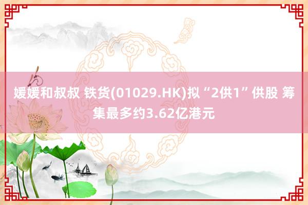 媛媛和叔叔 铁货(01029.HK)拟“2供1”供股 筹集最多约3.62亿港元