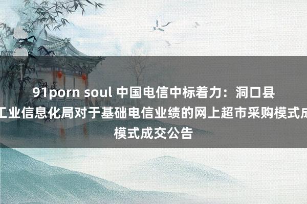 91porn soul 中国电信中标着力：洞口县科技和工业信息化局对于基础电信业绩的网上超市采购模式成交公告